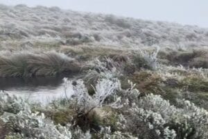 Primeira neve em Santa Catarina 2025 já aconteceu
