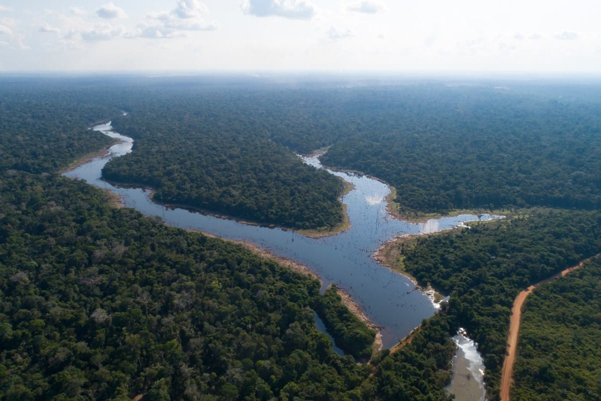 Desmatamento da Amazônia: Recuo de 18% em Junho, Mas Tendência Persiste