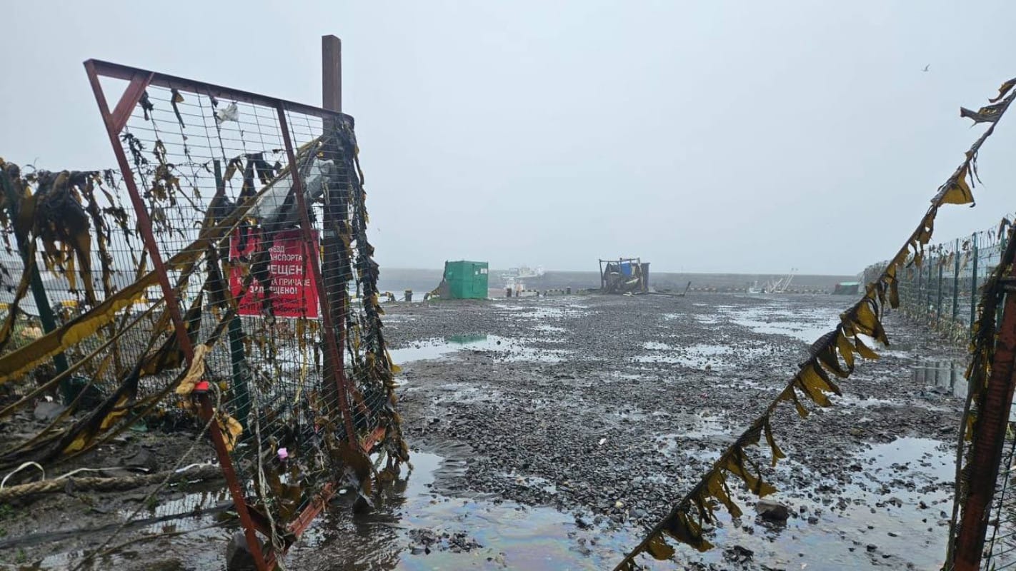 Fukushima: Funcionários Retirados Após Alerta de Tsunami, Mas Sem Anormalidades Reportadas