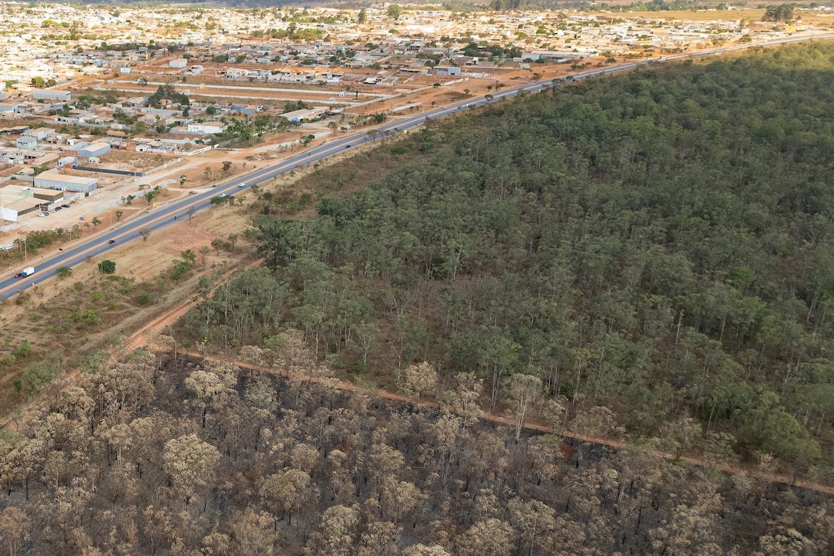 Grilagem Amazônica: Apenas 7% dos Casos Resultam em Condenações