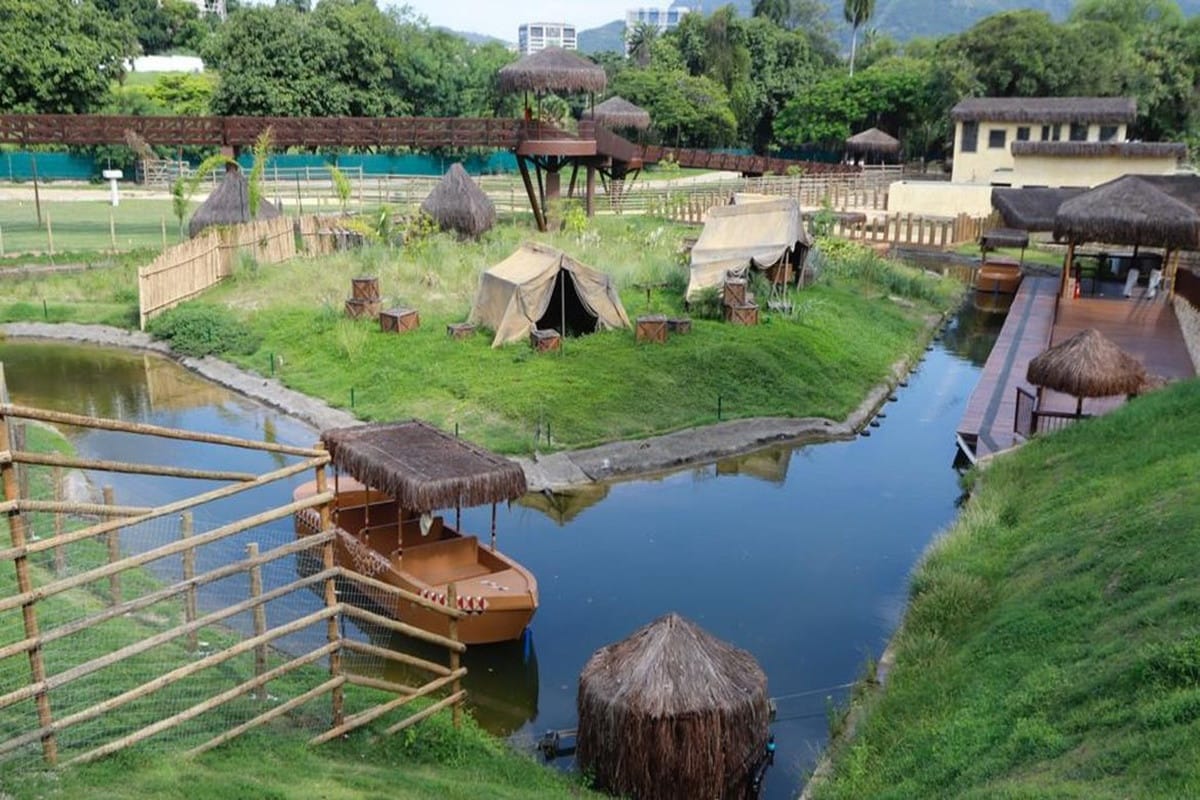 Gripe Aviária Provoca Morte de Galinhas-d’Angola no Bioparque do Rio: Entenda o Caso