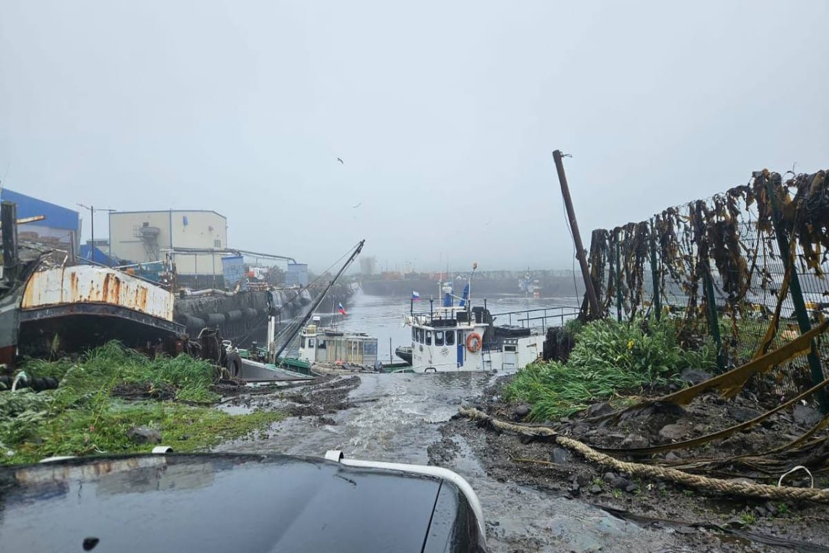 Tsunami no Havaí: Voos Comerciais São Suspensos por Alerta de Onze Gigantes