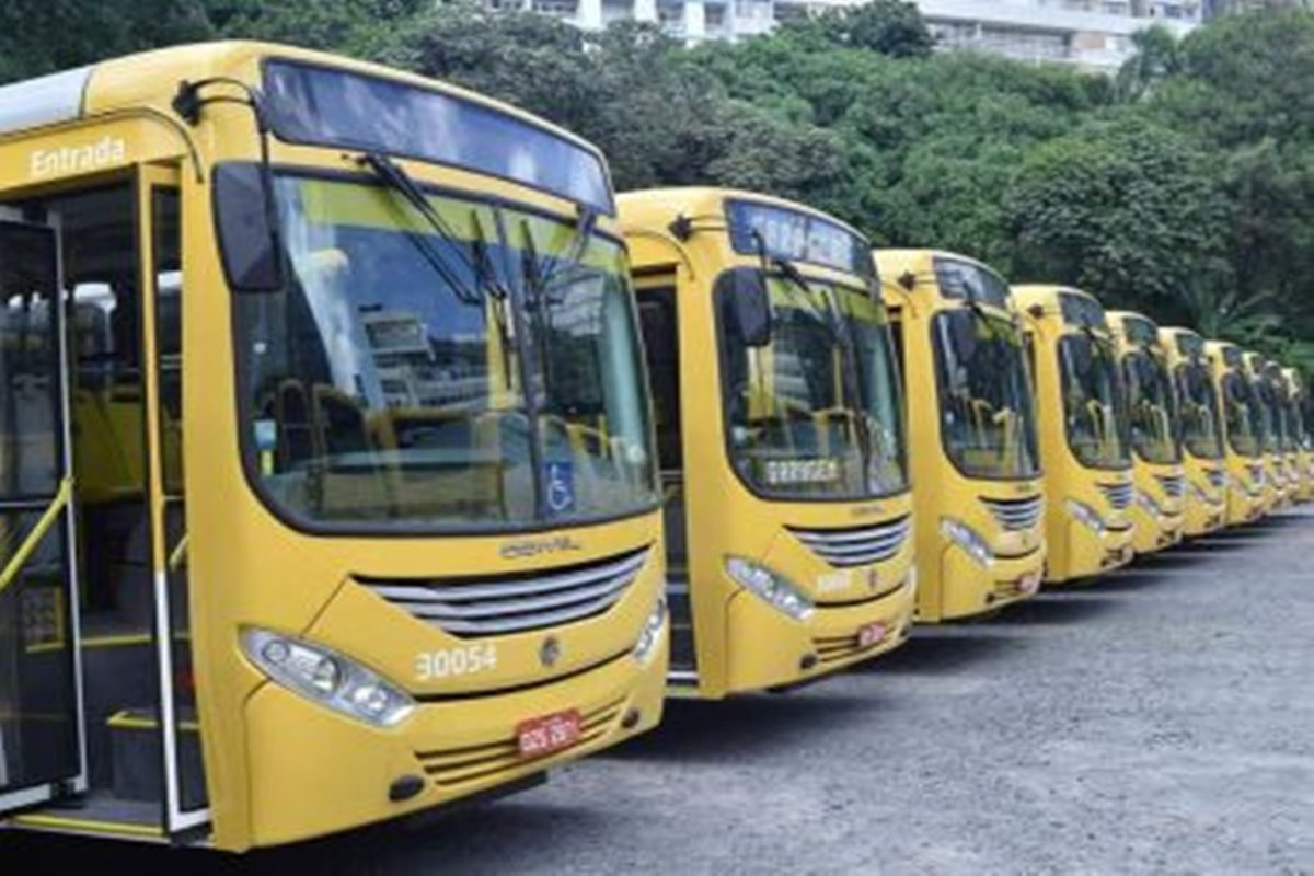 Garantindo Direitos: Indenização por Falta de Transporte Adequado para Pessoa com Deficiência