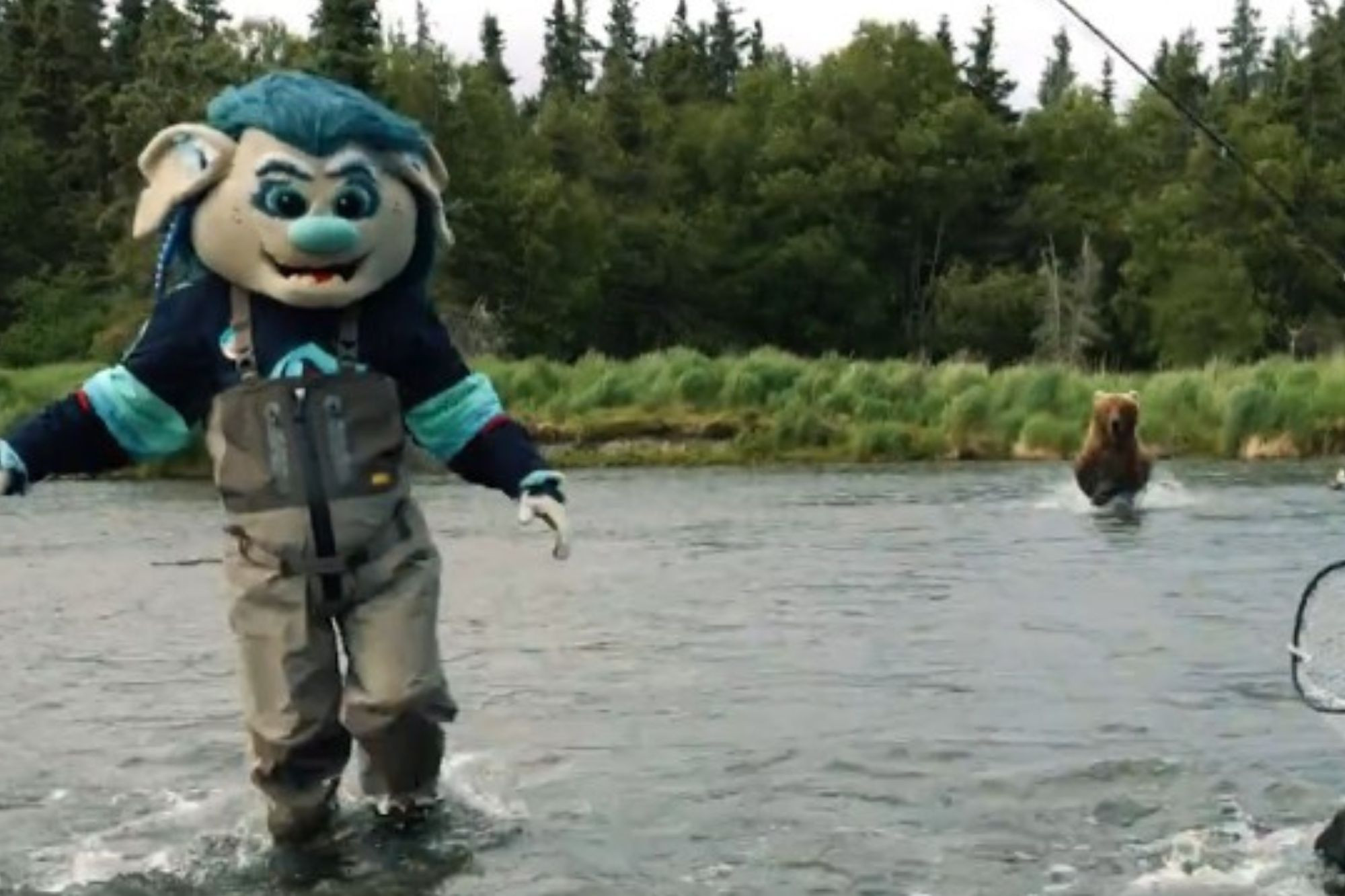 Seattle Kraken: Incidente com Urso durante Gravação de Vídeo