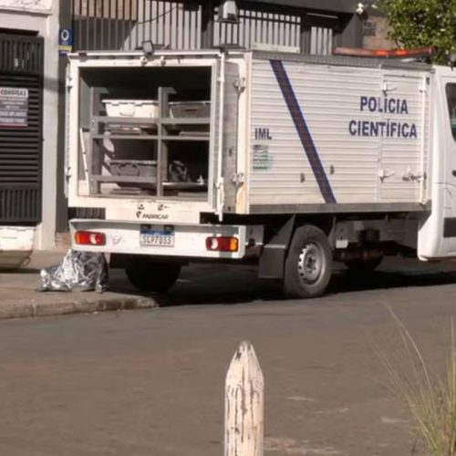 Ataque de Abelhas em Goiânia: Trabalhador Morre Após Parada Cardiorrespiratória
