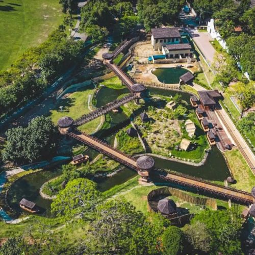 Bioparque do RJ Fecha: Entenda a Crise de Biossegurança
