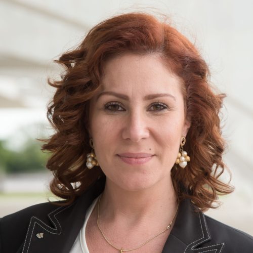 Carla Zambelli Presa em Roma: Entenda os Detalhes do Caso e as Implicações Jurídicas