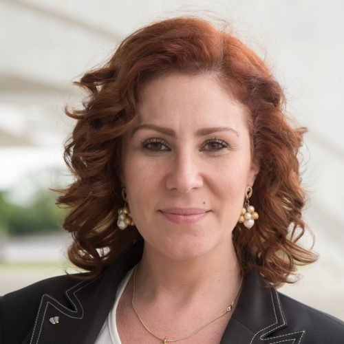 Carla Zambelli Presa em Roma: Entenda os Detalhes do Caso e as Implicações Jurídicas