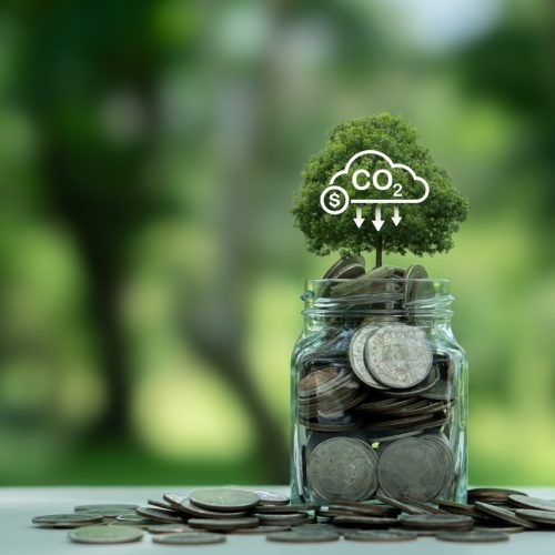 Créditos de Carbono: BNDES Lança Plano de Apoio à Restauração Florestal