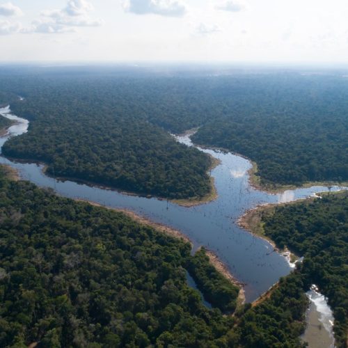 Desmatamento da Amazônia: Recuo de 18% em Junho, Mas Tendência Persiste