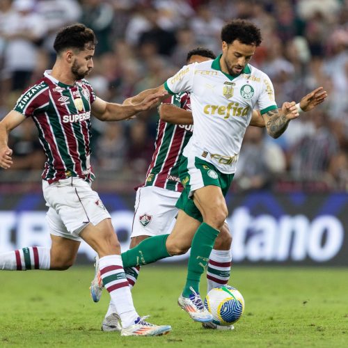 Fluminense x Palmeiras: onde assistir ao jogo do Brasileirão ao vivo