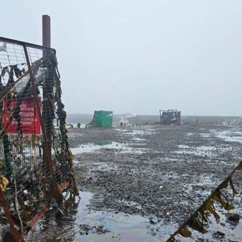 Fukushima: Funcionários Retirados Após Alerta de Tsunami, Mas Sem Anormalidades Reportadas