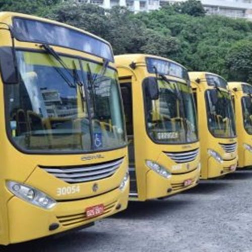 Garantindo Direitos: Indenização por Falta de Transporte Adequado para Pessoa com Deficiência
