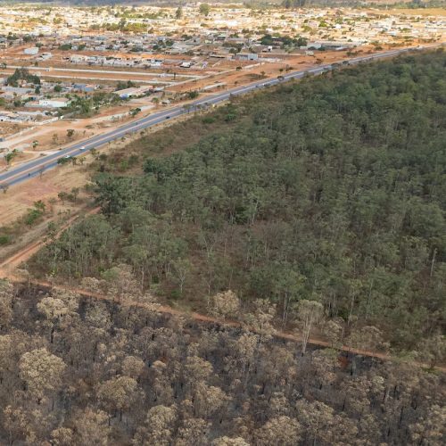 Grilagem Amazônica: Apenas 7% dos Casos Resultam em Condenações
