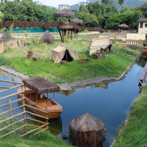 Gripe Aviária Provoca Morte de Galinhas-d’Angola no Bioparque do Rio: Entenda o Caso