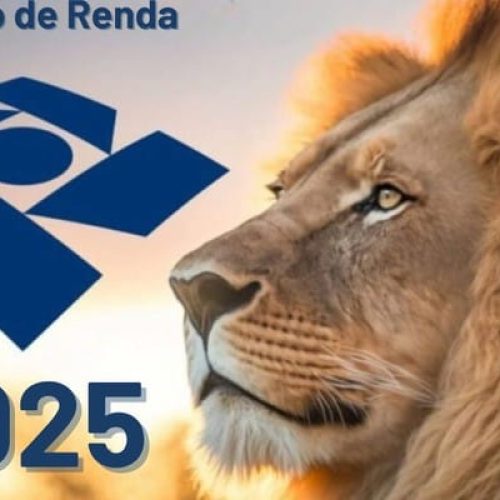 Imposto de Renda 2025: Últimos Dias para Declarar Sem Multa e Evitar a Malha Fina
