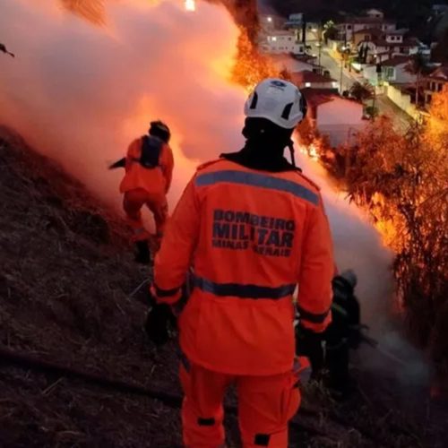 Incêndio em Juiz de Fora: 3000 m² de Vegetação Destruídos