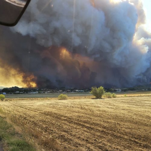 Incêndio Florestal França: Mortes, Feridos e a Urgência da Prevenção