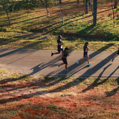 Metrópoles Endurance: Conheça os Campeões do Triatlo Standard 2024