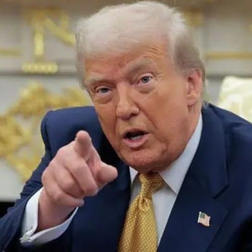 O Meme TACO: Como Brasileiros Usam a Expressão para Cravar Trump