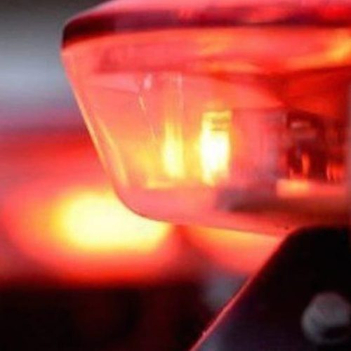 Pb: Ex-Prefeito de Patos é Preso por Cultivo Ilegal de Maconha