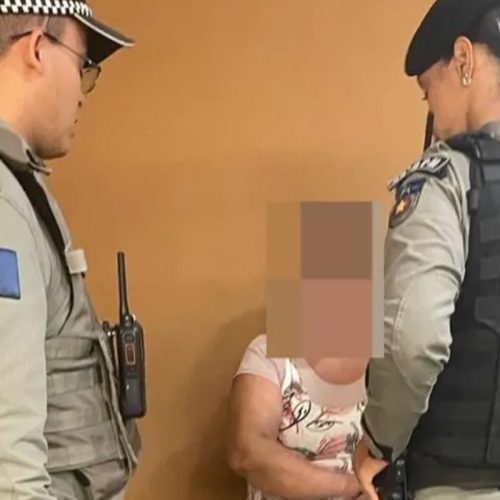 Raptar Bebê: Incidente em Shopping Revela Ameaça e Medidas de Segurança