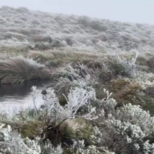 Primeira Neve em Santa Catarina 2025: Quando Voltará a Nevar?