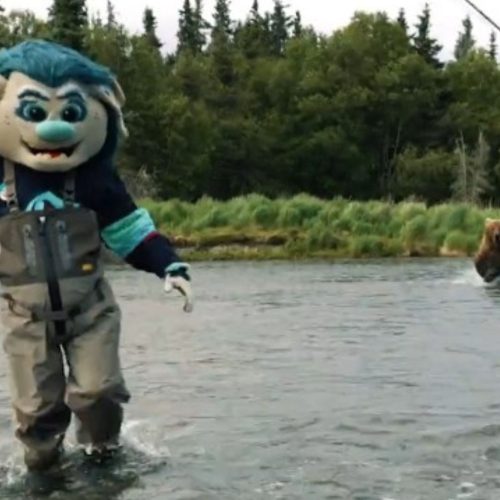 Seattle Kraken: Incidente com Urso durante Gravação de Vídeo