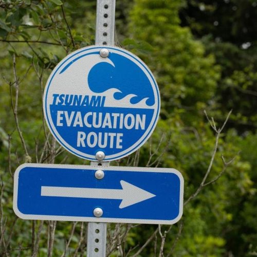 Tsunami: Após Terremoto na Rússia, EUA, Japão e Outros Países Emitem Alerta