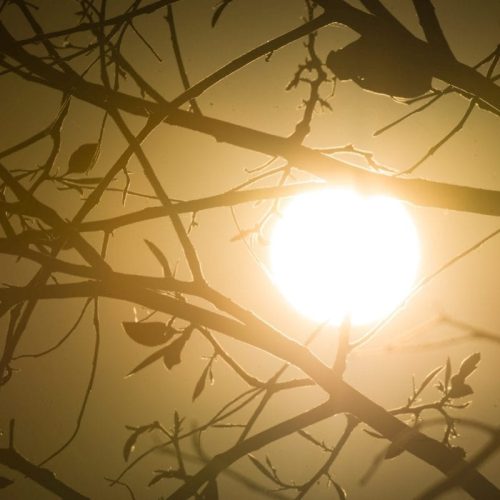 Umidade de Deserto: Inmet Alerta Mais de 1.300 Municípios com Baixa Umidade Relativa do Ar