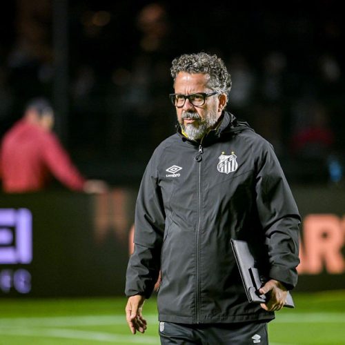 Vaias no Santos: Cléber Xavier Enfatiza o Trabalho após a Série B